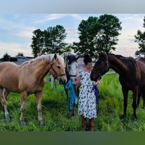 EUC: Old Navy - Floral Sundress 🌻